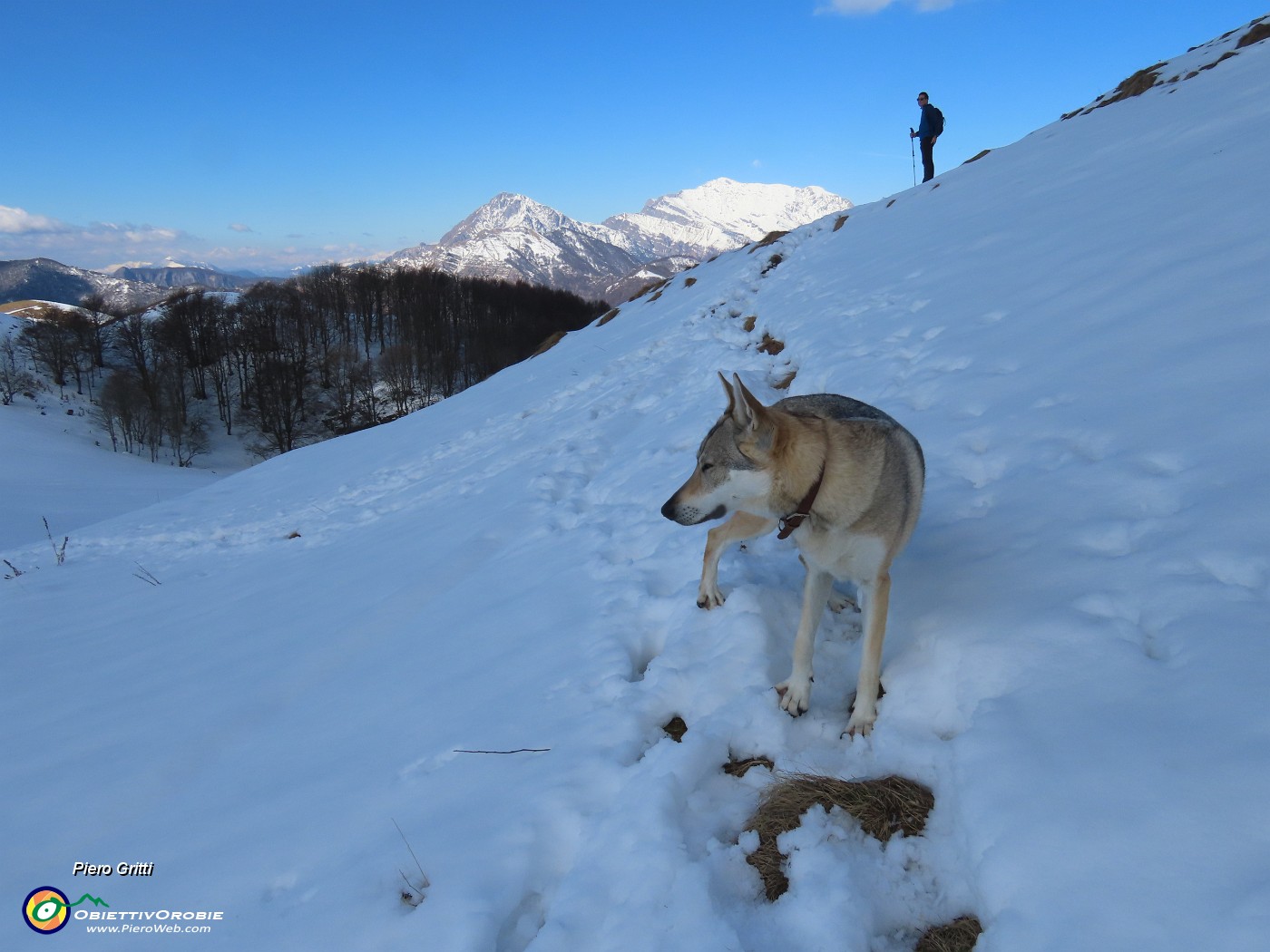 27 Prendiamo il sentiero ben innevato per cima Zuc de Valmana.JPG